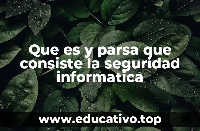 Que es y parsa que consiste la seguridad informatica