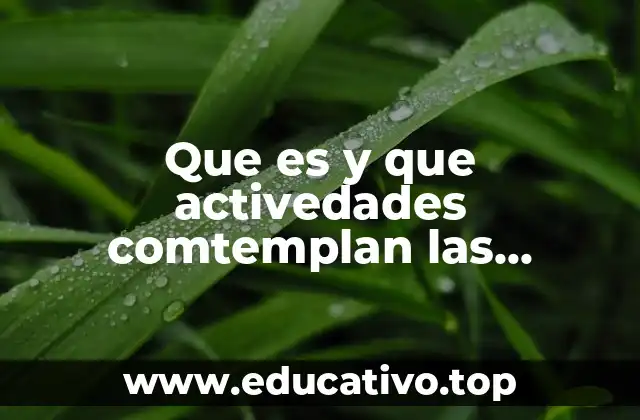 Que es y que activedades comtemplan las actividades secundarias