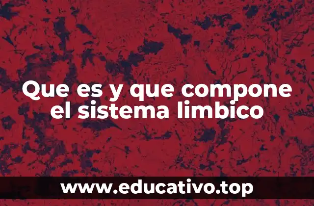 Que es y que compone el sistema limbico