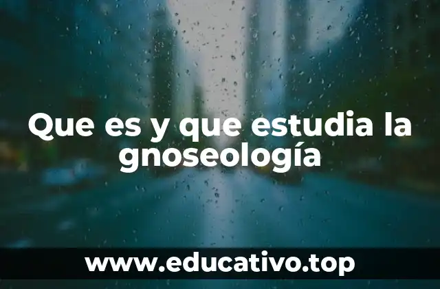 Que es y que estudia la gnoseología
