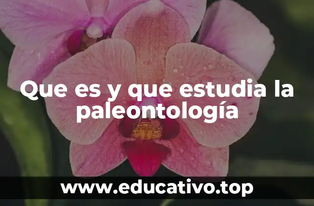Que es y que estudia la paleontología