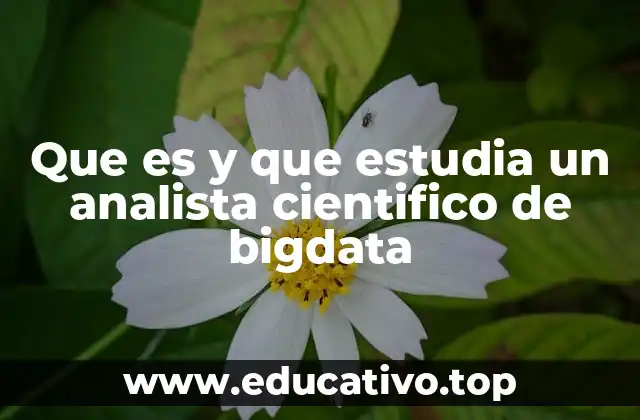 Que es y que estudia un analista cientifico de bigdata