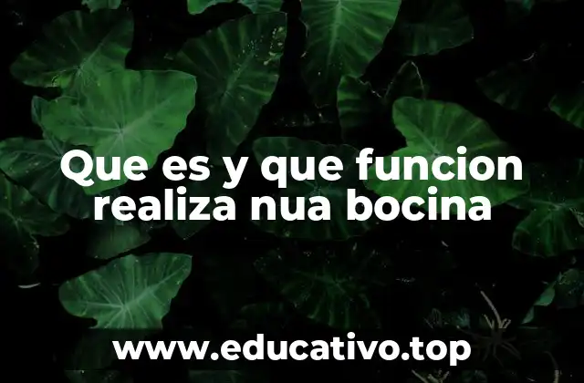 Que es y que funcion realiza nua bocina