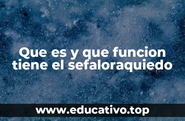 Que es y que funcion tiene el sefaloraquiedo