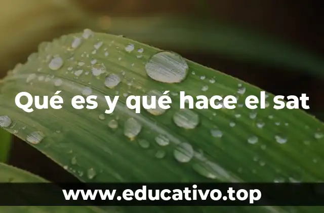 Qué es y qué hace el sat
