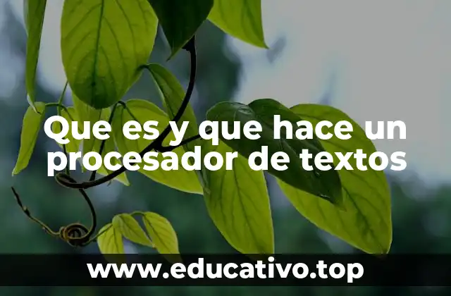 Que es y que hace un procesador de textos