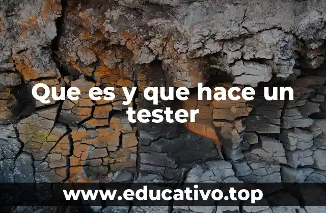 Que es y que hace un tester