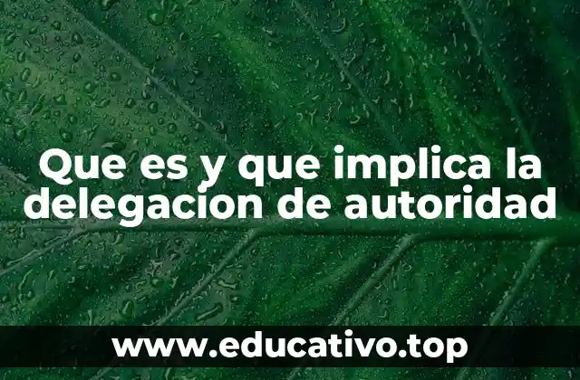 Que es y que implica la delegacion de autoridad