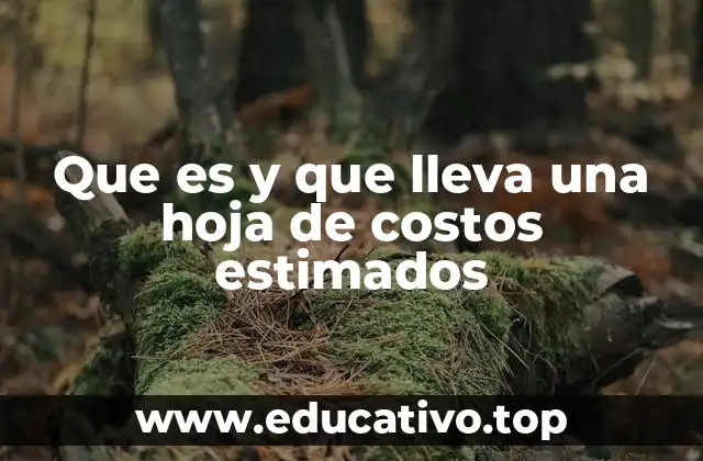 Que es y que lleva una hoja de costos estimados