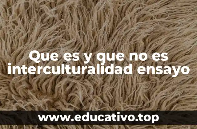 Que es y que no es interculturalidad ensayo