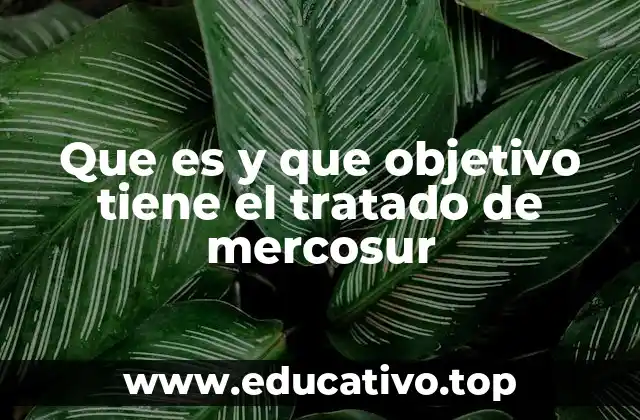 Que es y que objetivo tiene el tratado de mercosur