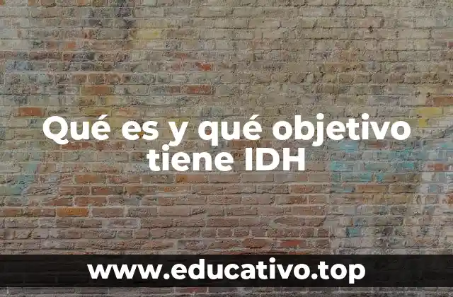 Qué es y qué objetivo tiene IDH