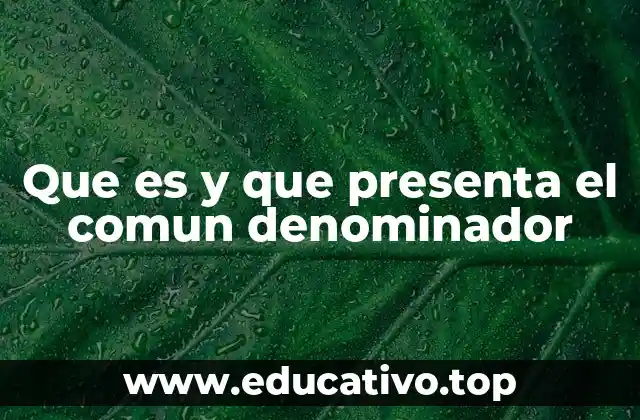 Que es y que presenta el comun denominador