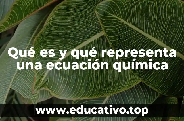 Qué es y qué representa una ecuación química