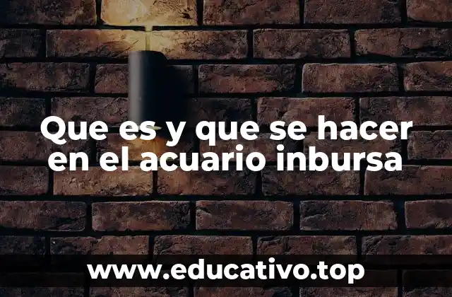 Que es y que se hacer en el acuario inbursa