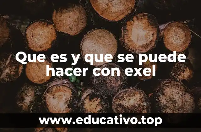 Que es y que se puede hacer con exel