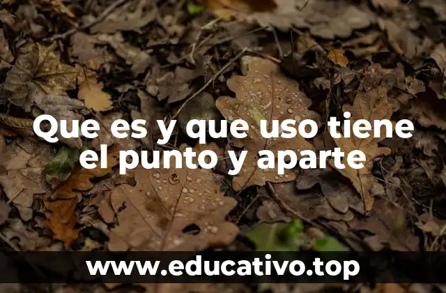 Que es y que uso tiene el punto y aparte