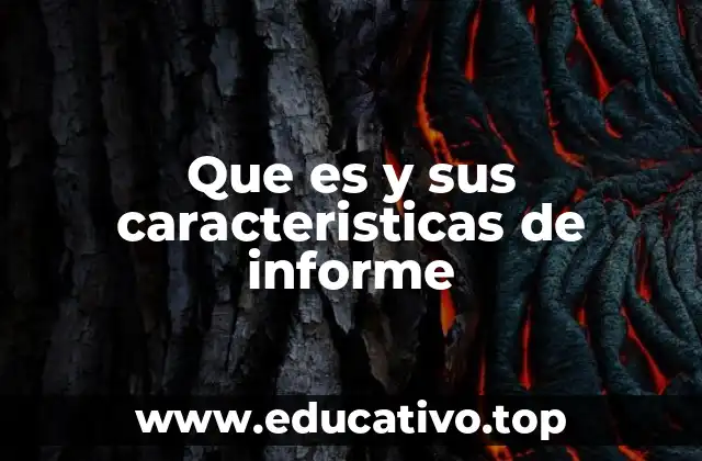 Que es y sus caracteristicas de informe
