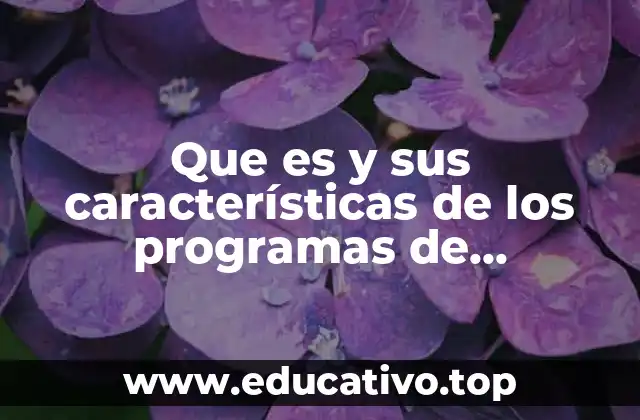 Que es y sus características de los programas de financiamiento