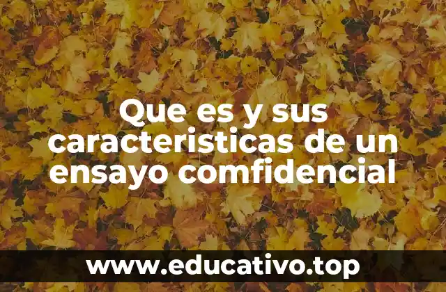Que es y sus caracteristicas de un ensayo comfidencial