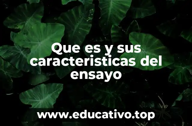 Que es y sus caracteristicas del ensayo