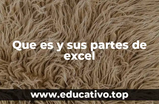 Que es y sus partes de excel