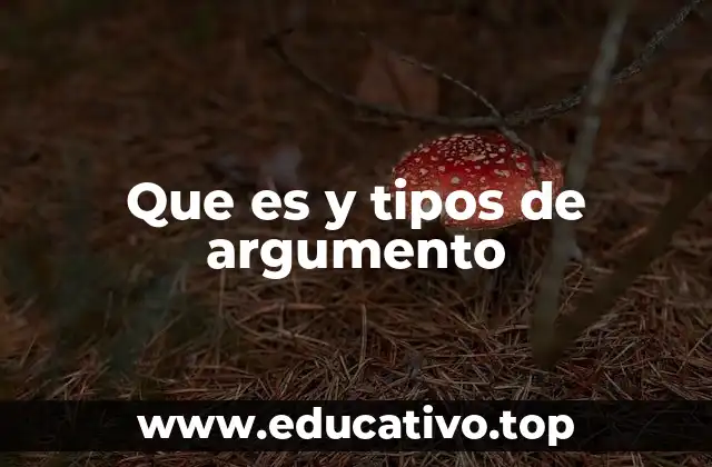 Que es y tipos de argumento