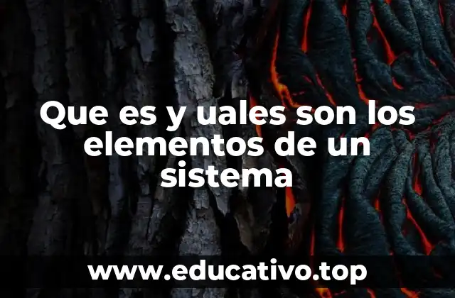 Que es y uales son los elementos de un sistema