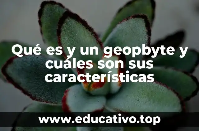 Qué es y un geopbyte y cuáles son sus características