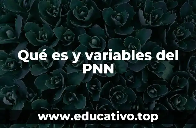Qué es y variables del PNN