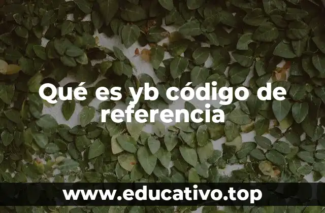Qué es yb código de referencia