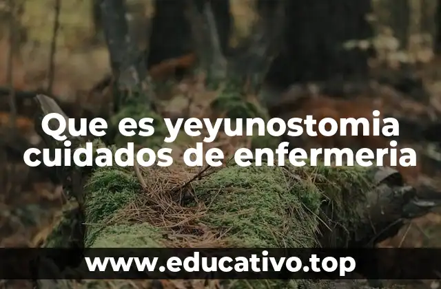 Que es yeyunostomia cuidados de enfermeria