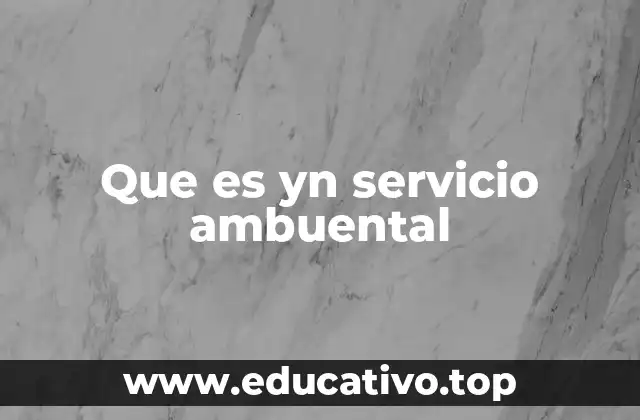Que es yn servicio ambuental