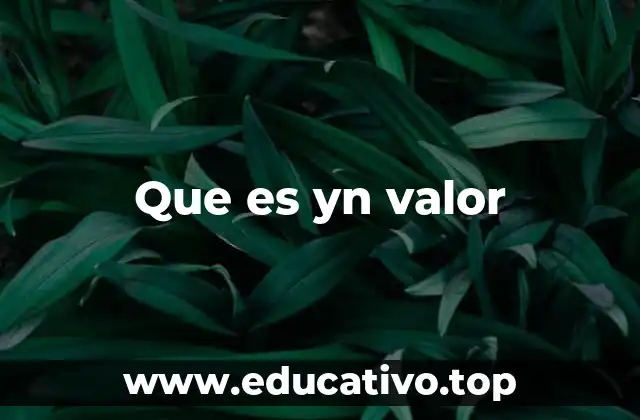 Que es yn valor