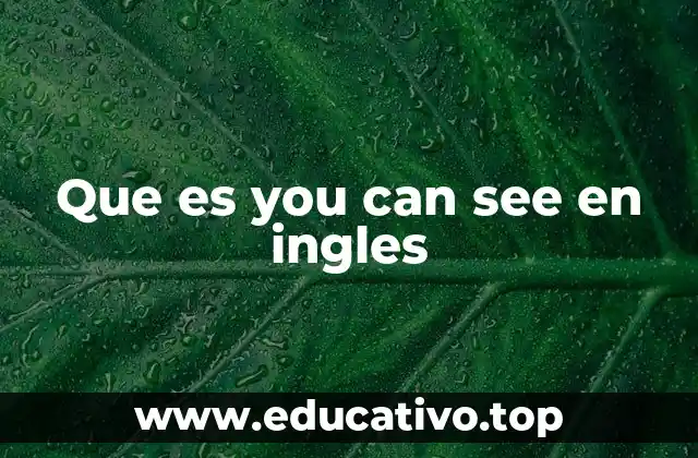 Que es you can see en ingles