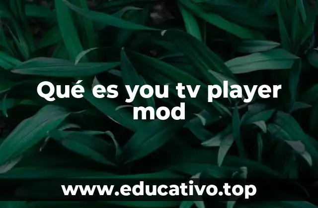 Qué es you tv player mod