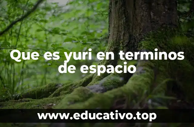 Que es yuri en terminos de espacio