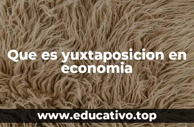 Que es yuxtaposicion en economia
