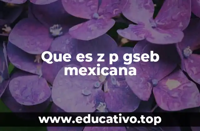 Que es z p gseb mexicana