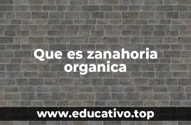 Diferencias entre zanahoria orgánica y convencional