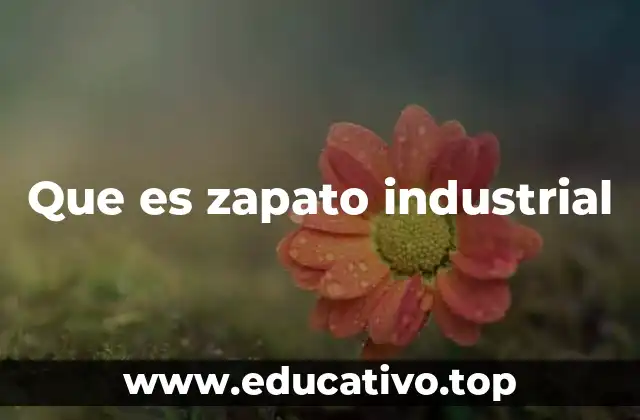 Que es zapato industrial