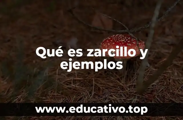 Qué es zarcillo y ejemplos
