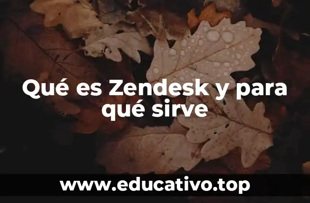 Qué es Zendesk y para qué sirve