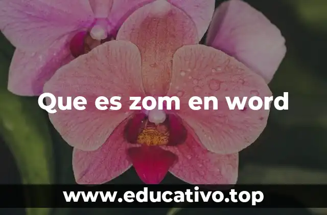 Que es zom en word