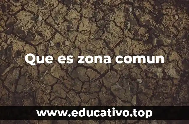 Que es zona comun