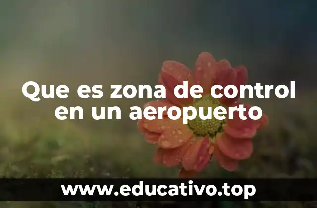 Que es zona de control en un aeropuerto
