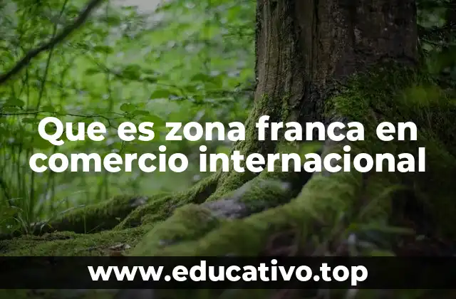 Que es zona franca en comercio internacional