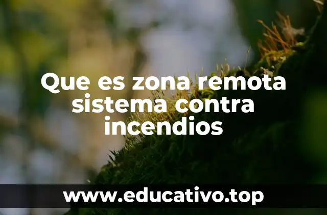 Que es zona remota sistema contra incendios