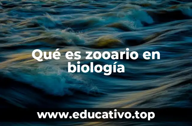 El zooario como ecosistema complejo