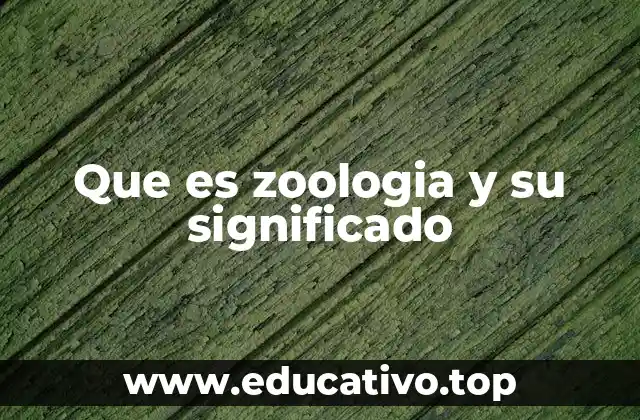 Que es zoologia y su significado